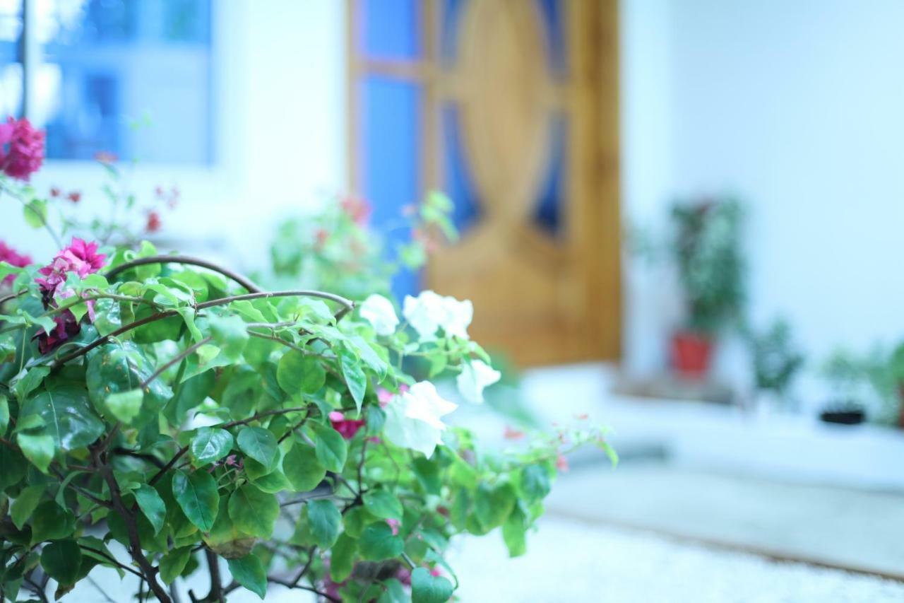 Hotel Moodhu Surf House Himmafushi Esterno foto